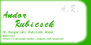 andor rubicsek business card